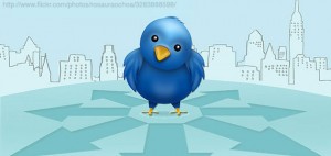 twitter-bird-city-geo-featured