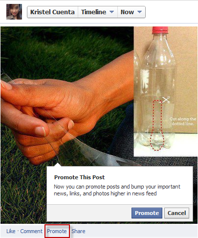 Facebook Promoted Profile