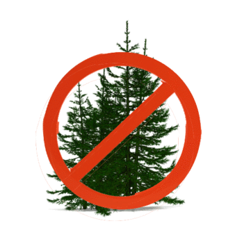 shutterstock_88015819-no-evergreen-300x300
