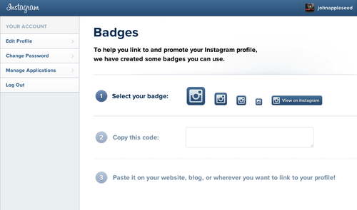 Instagram Badges