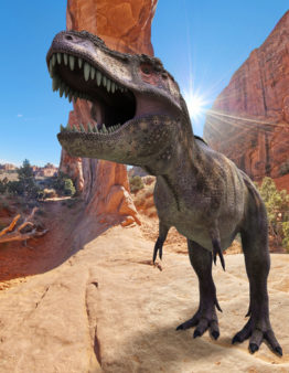 shutterstock_114519181-dinosaur