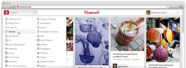 Pinterest-Side