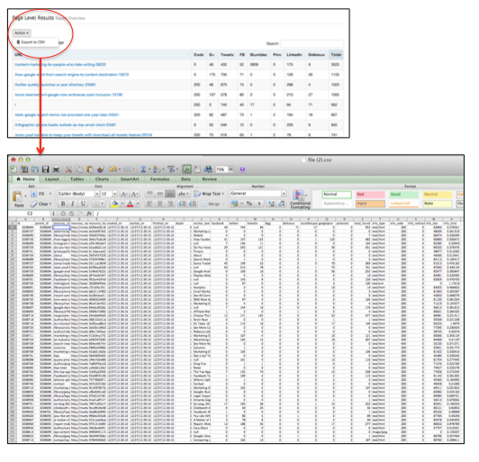 Social Crawlytics Excel Export