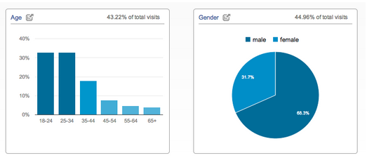 Google Analytics Audience Report_Oct2013