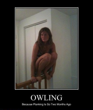 Owling