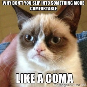 Tard the grumpy cat