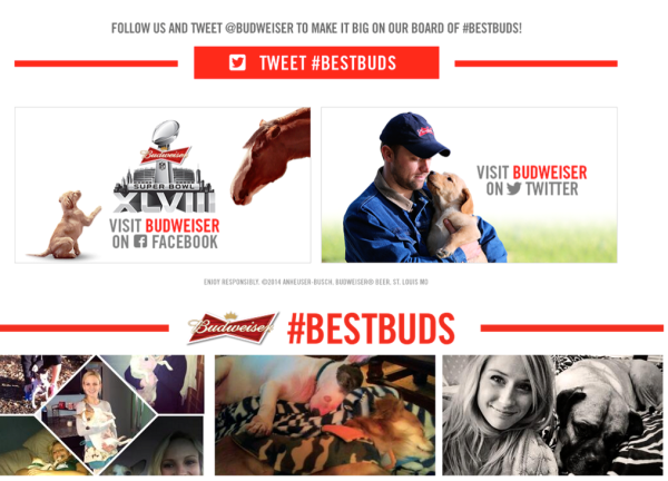 Budweiser Home Page