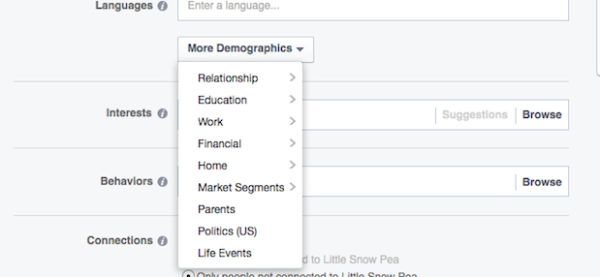 Facebook ad targeting demographics