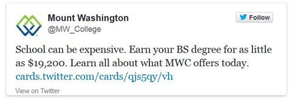 twitter lead generation cards case study