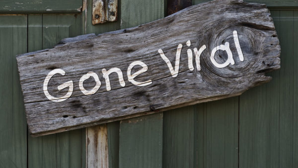 gone-viral-sign-ss-1920