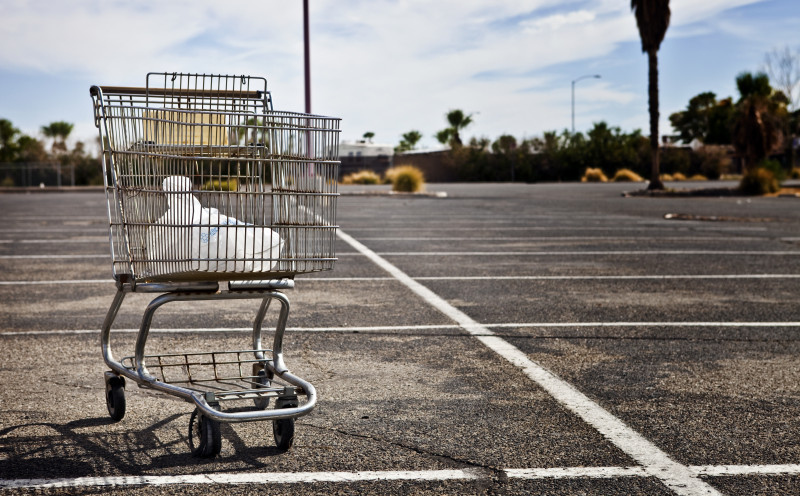 Shopping Cart Ss 1920