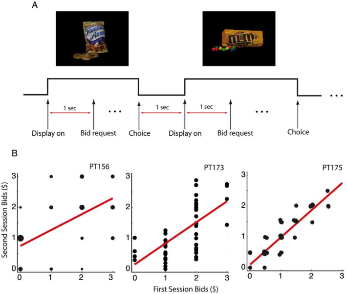 Value Encoding in Single Neurons in the Human Amygdala during Decision-making