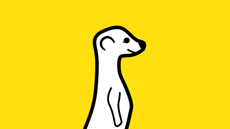 meerkat-logo-white-1920