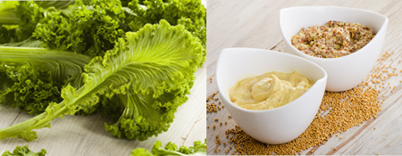 Photo of mustard greens and condiment mustard