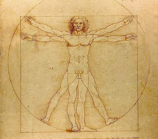 vitruvian