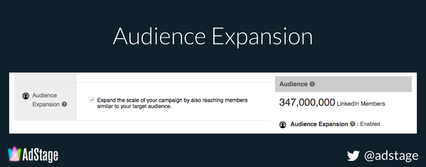 Linkedin Audience Expansion