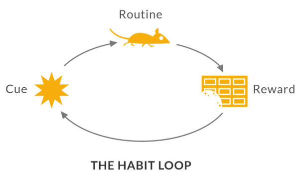 the habit loop