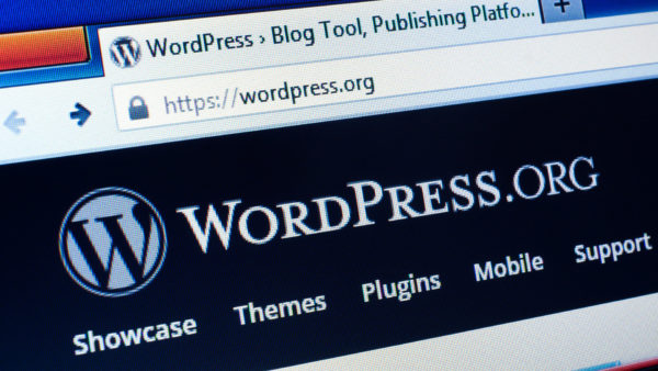 wordpress-website1-ss-1920