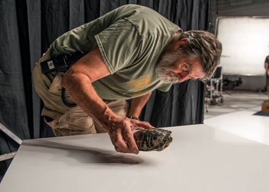 Turtle Wrangler Jim Lovisek of the Toronto Nature Center working on the Jet Spree set on Wednesday September 9, 2015