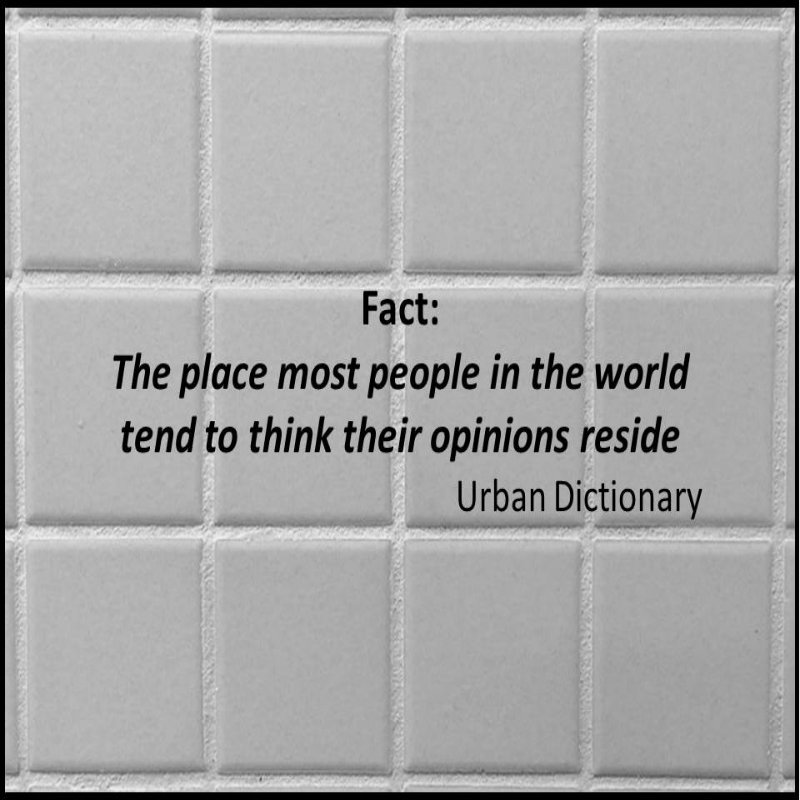 fact_urban_dictionary800_800