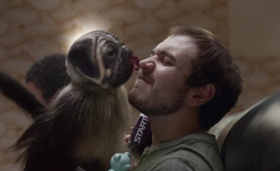 puppymonkeybabylick-600x368