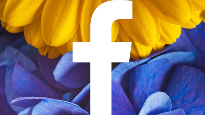 facebook-flowers2-ss-1920