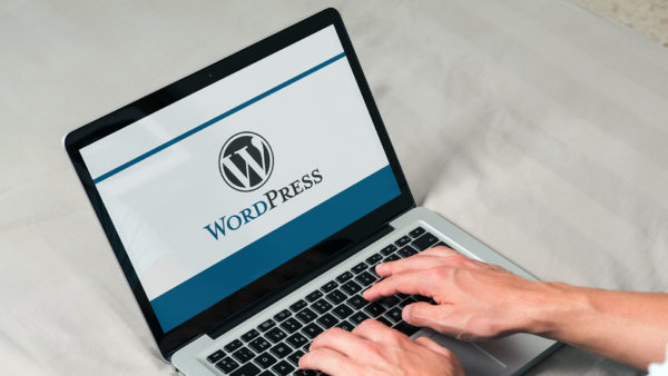 wordpress-laptop-user-blogger-ss-1920