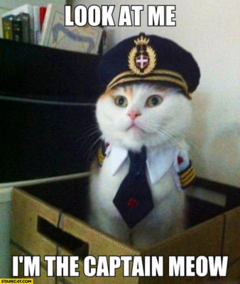 Look at me, I'm the captain meow