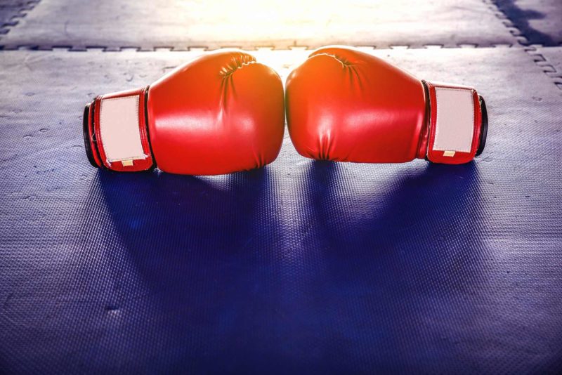 Boxing Gloves Fight Ss 1920 800x534