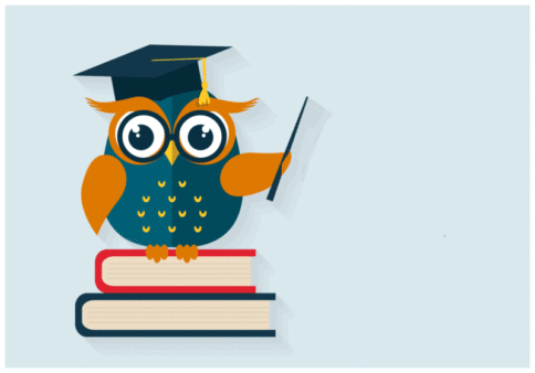 wise-owl-teacher-ss-1920-800x559-800x559