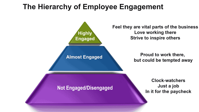 Employee Engagement Hierarchy