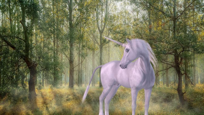 Mythical unicorn in forest