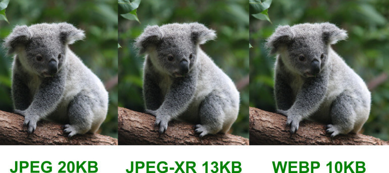 Koala Auto Format