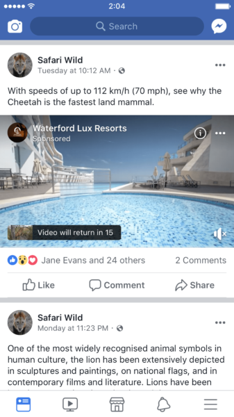 Facebook Ad Break Example