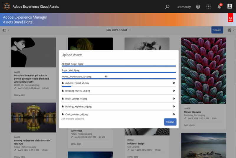 Adobe Brand Portal Tool