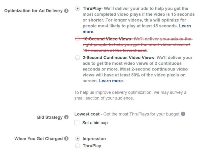 Facebook Video Ad Options