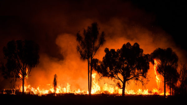 australian-fire-2020-stock-1920