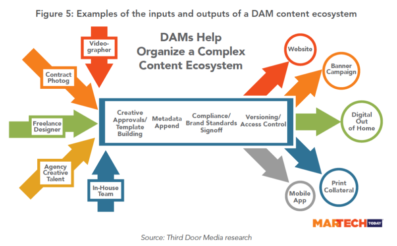 Dam Content Ecosystem