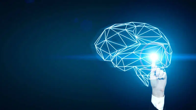Brain Light 439039435 Ss 1920 800x450 1