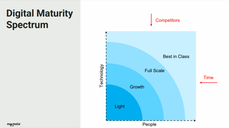 digital maturity spectrum model