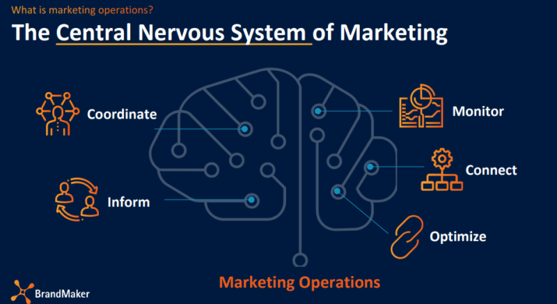 central nervous system showing marketing ops' importance