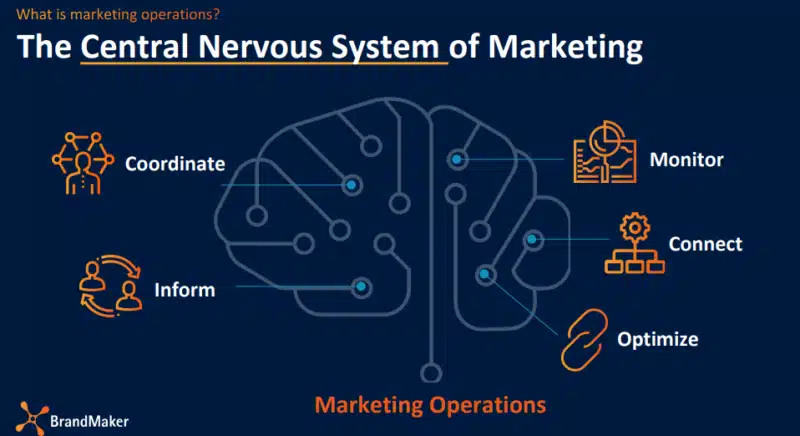 central nervous system showing marketing ops' importance