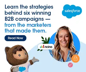 Salesforce-6-Inspiring-B2B-Campaigns_Demand-Base-Display-Ads_300x250