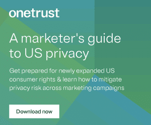 20230605-OneTrust-USPrivacyLawsGuideForMarketers-DigitalAds-300x250-1