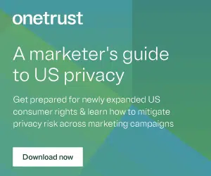 20230605-OneTrust-USPrivacyLawsGuideForMarketers-DigitalAds-300x250-1