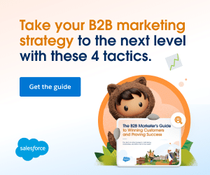 Salesforcd-B2B-Marketing-Playbook-Display-Ad-300x250-1