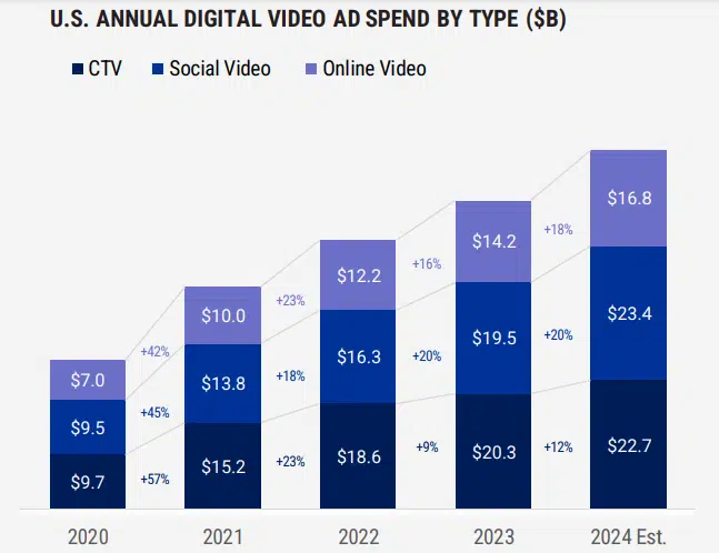 Digital Video Spend By Type