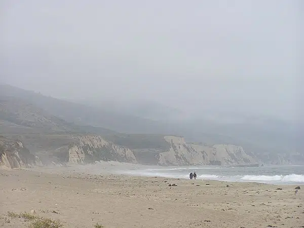 A foggy beach in northern California