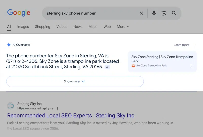 Google SERP phone number AI overview