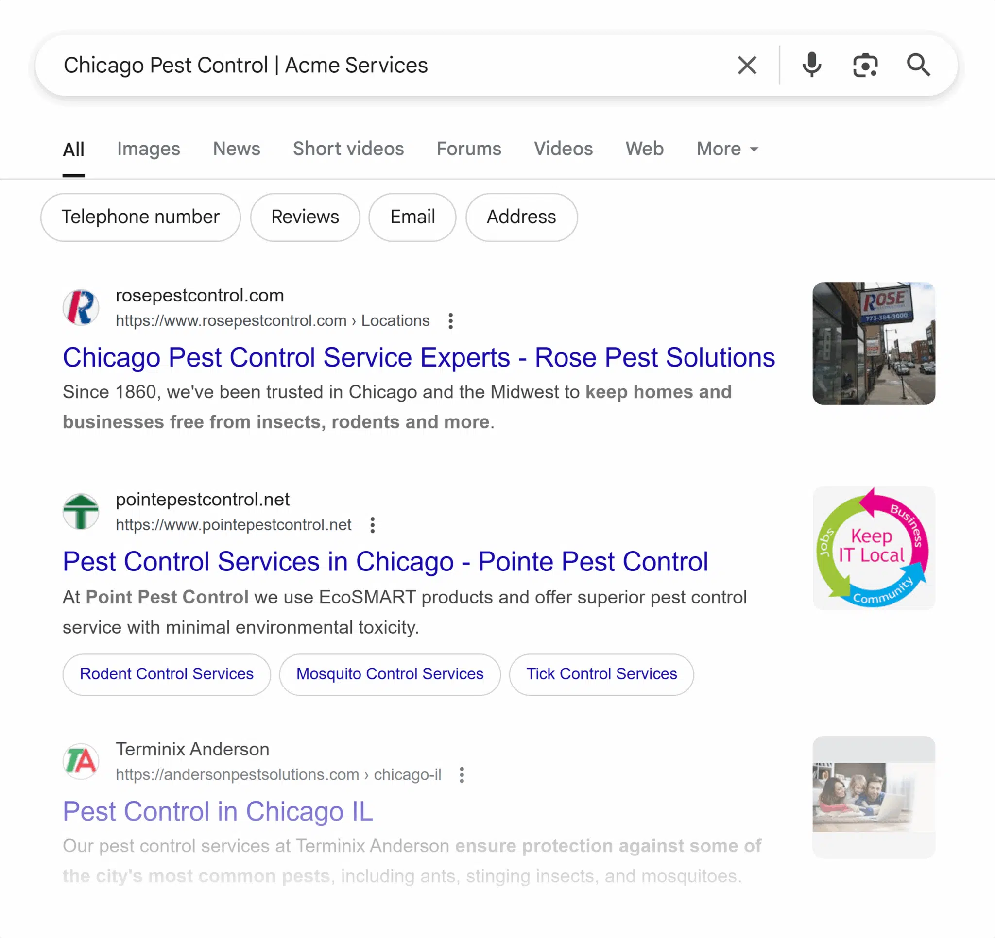 Google Serp Chicago Pest Control Scaled